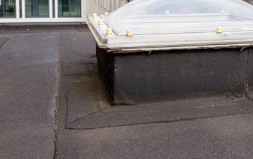 disadvantages of Cubitt Town flat roofs