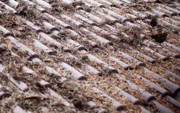 Cubitt Town roof cleaning companies