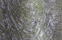 Cubitt Town fibreglass roof work